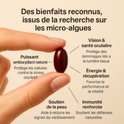 Nohancy® - Astaxanthin 12mg