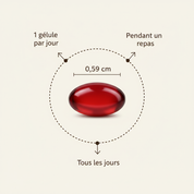 Nohancy® - Astaxanthin 12mg